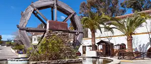 Pintor en El Bosque - Gaditana de Pintores