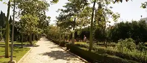 Pintor en El Campito - Gaditana de Pintores