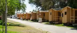 Pintor en La Rana Verde - Gaditana de Pintores