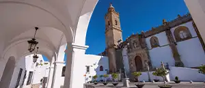Pintor en Medina Sidonia - Gaditana de Pintores