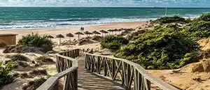 Pintor en Novo Sancti Petri - Gaditana de Pintores