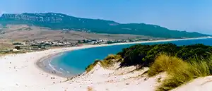 Pintor en Tarifa - Gaditana de Pintores